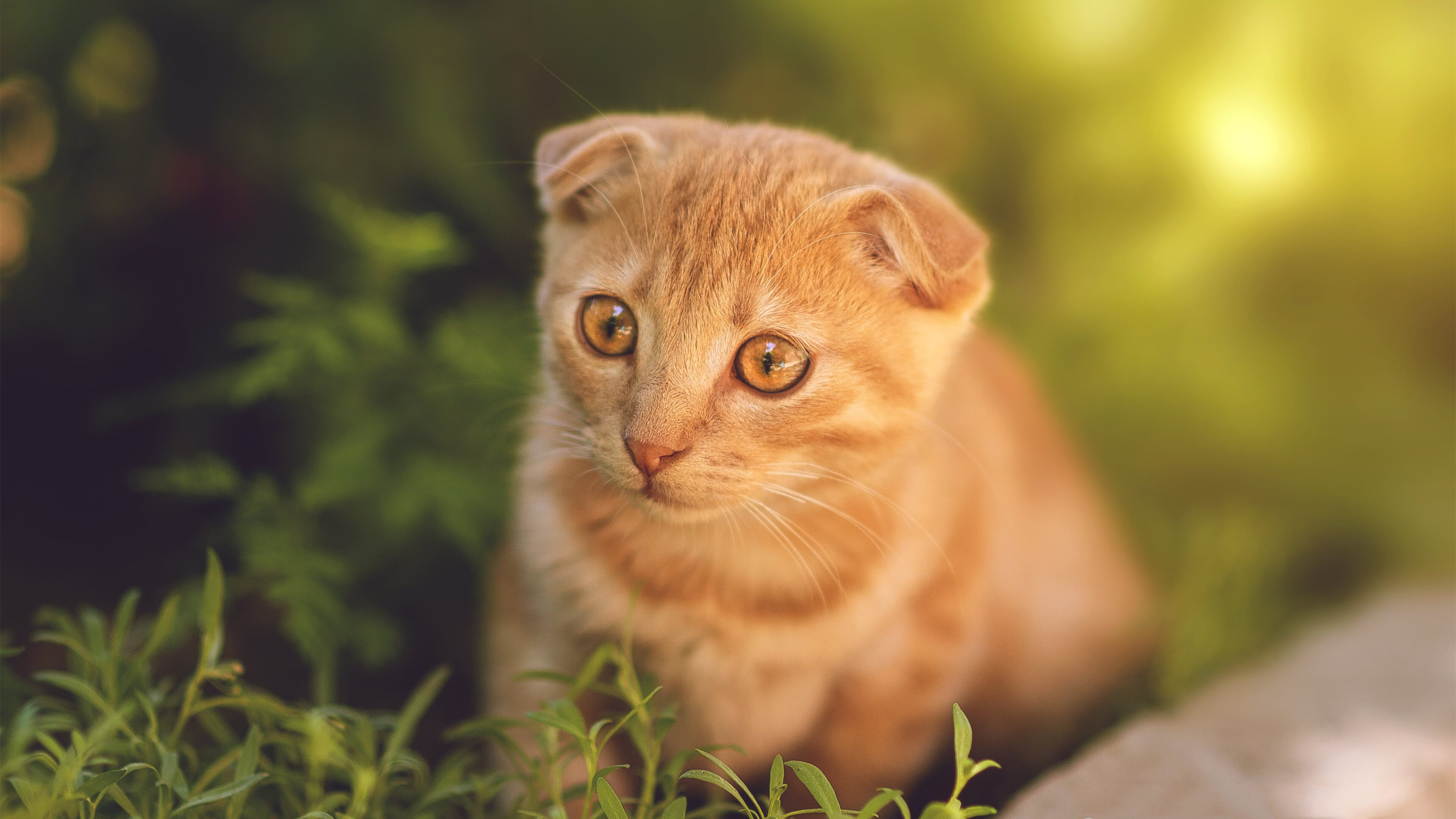 他的“硬汉”风格和“不屈”精神，赢得了全联盟的尊敬！，硬汉的特征