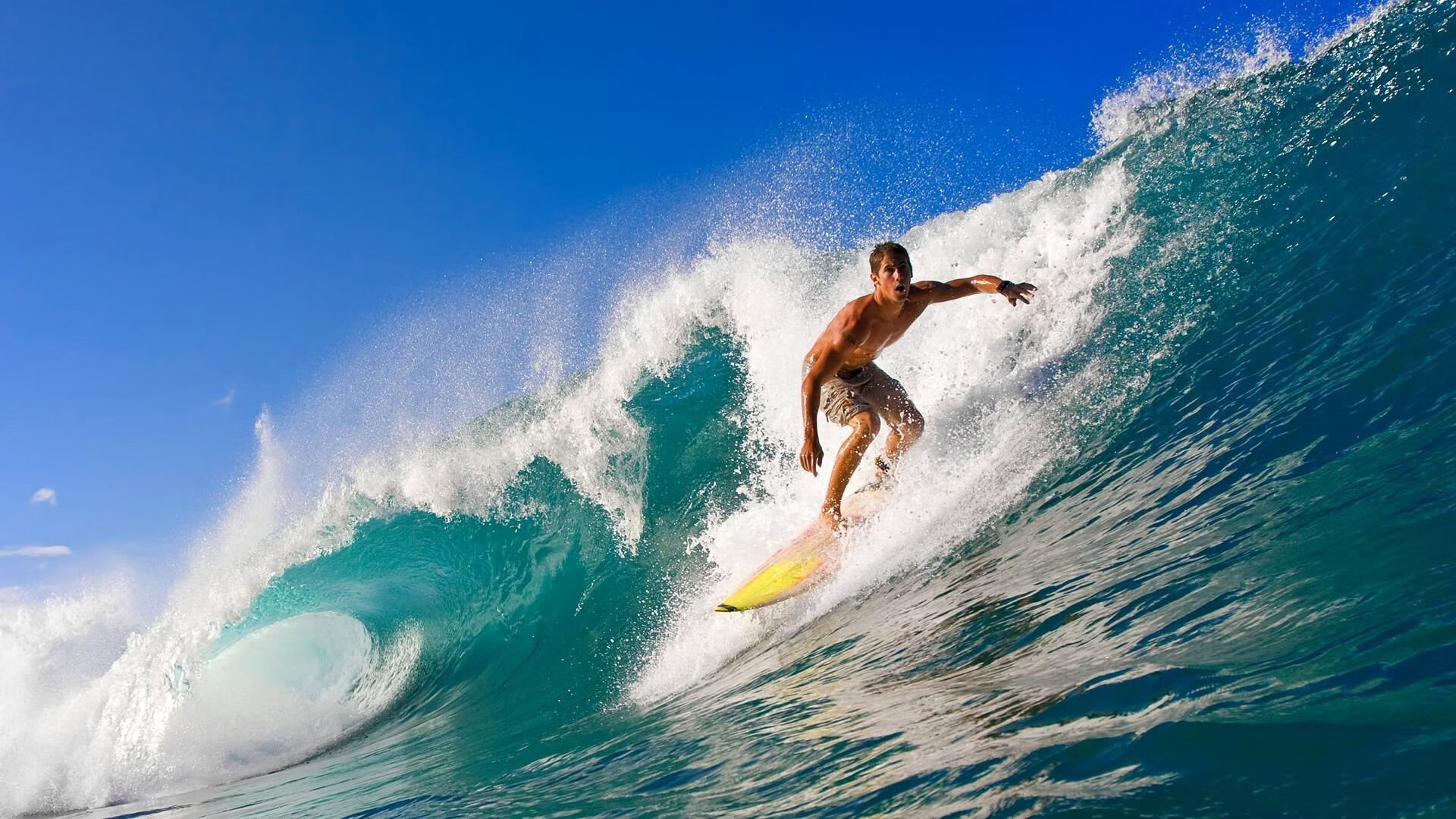 世界杯激情不断:精彩瞬间点燃球迷!,世界杯经典视频