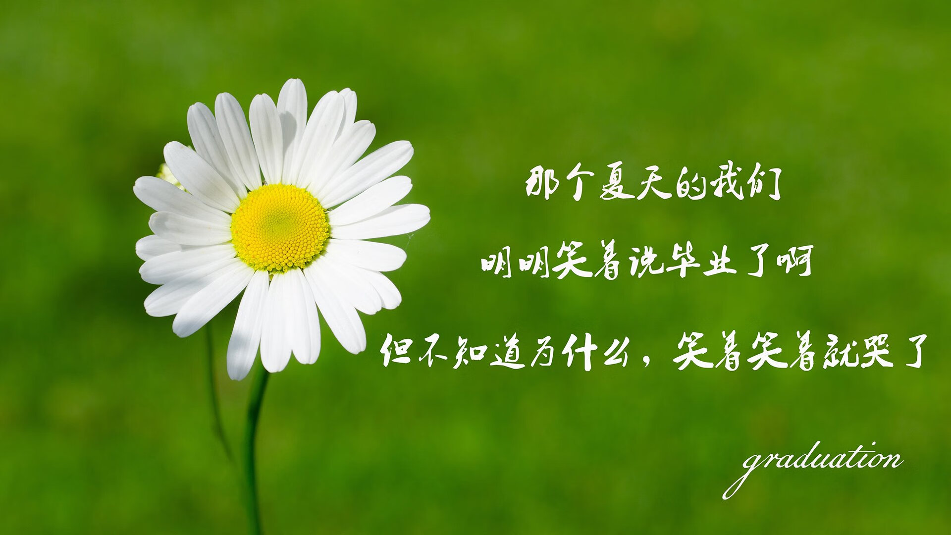 开yun体育-_趣味运动会：家庭参与的快乐时光_，家庭趣味运动会作文