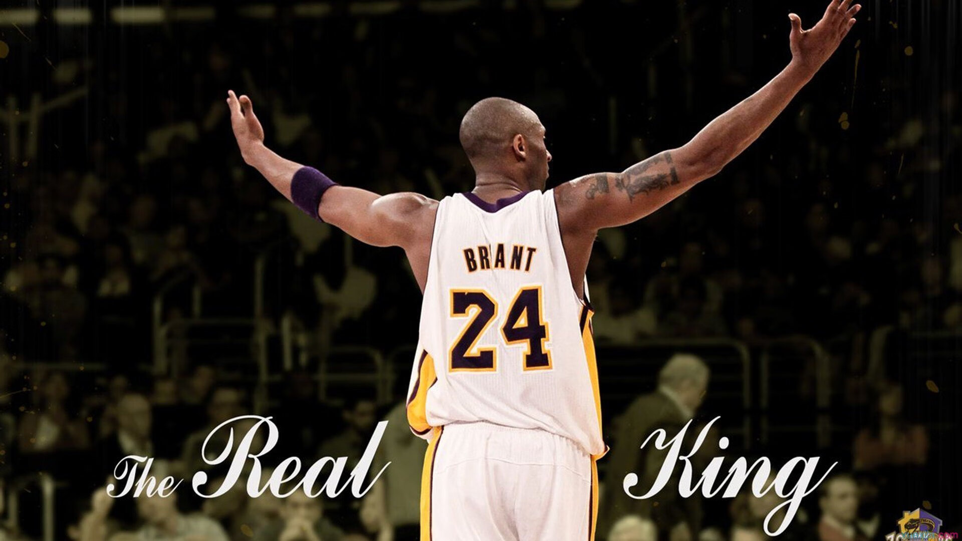 开云体育入口-凯尔特人训练营最后一日进行投篮比拼，凯尔特人训练场